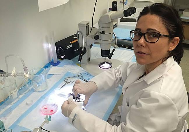 La doctora María del Carmen Asensio López, durante las pruebas del proyecto.
