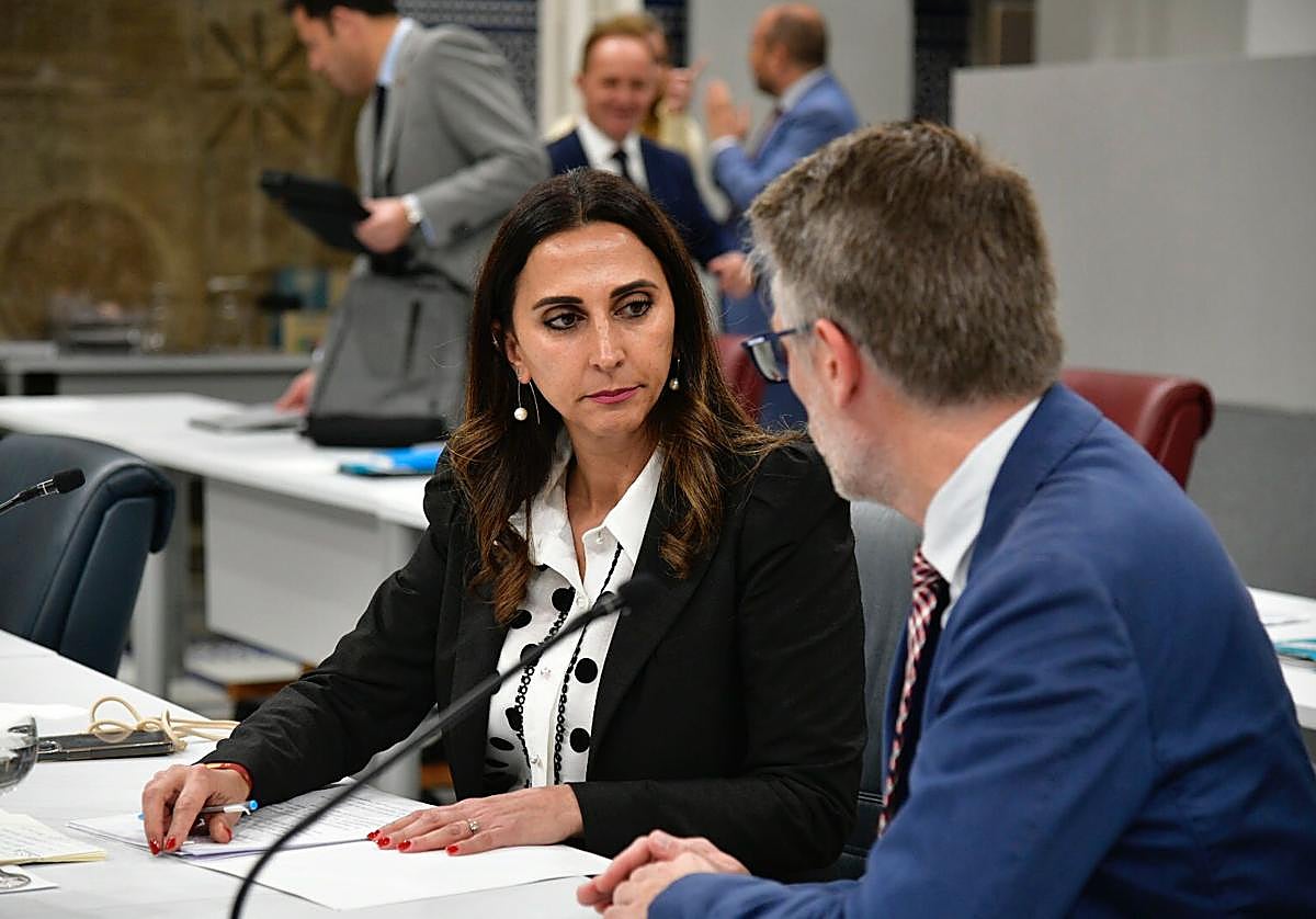 La consejera Sara Rubira, este viernes, en la Asamblea.