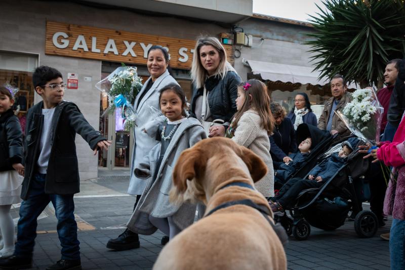 La ofrenda de flores a La Purísima de Torrevieja, en imágenes