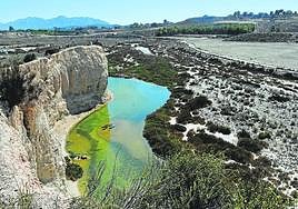 Paisaje protegido del Humedal del Ajauque y Rambla Salada.