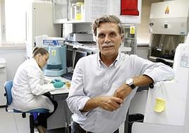 Francisco Tomás Barberán, en una imagen de archivo.