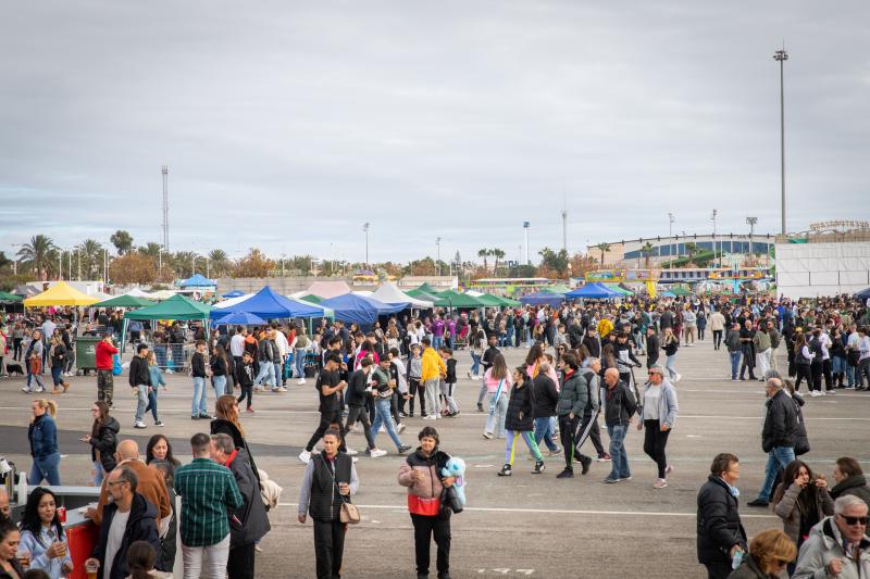 Las imágenes del concurso de paellas de Torrevieja