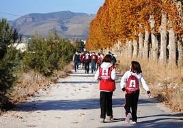 Varios grupos de peregrinos, en una de las etapas del Camino del Levante por la vía verde.