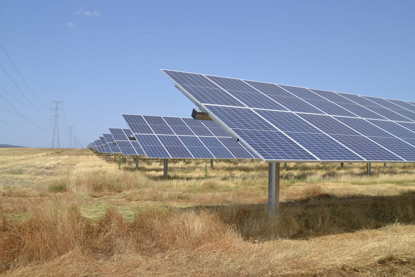 Una de los espacios en los que Soltec cuenta con plantas solares.