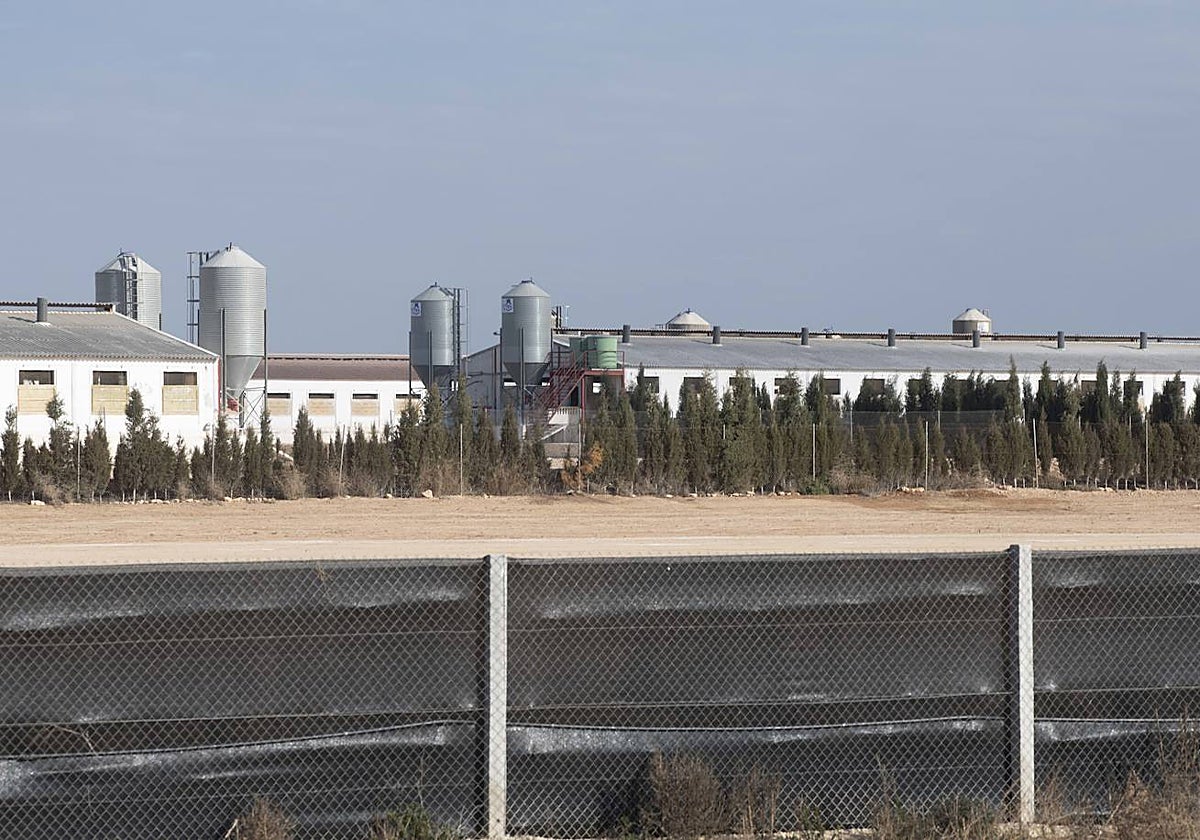 Vista de una granja en la cuenca del Mar Menor, en una imagen de archivo.