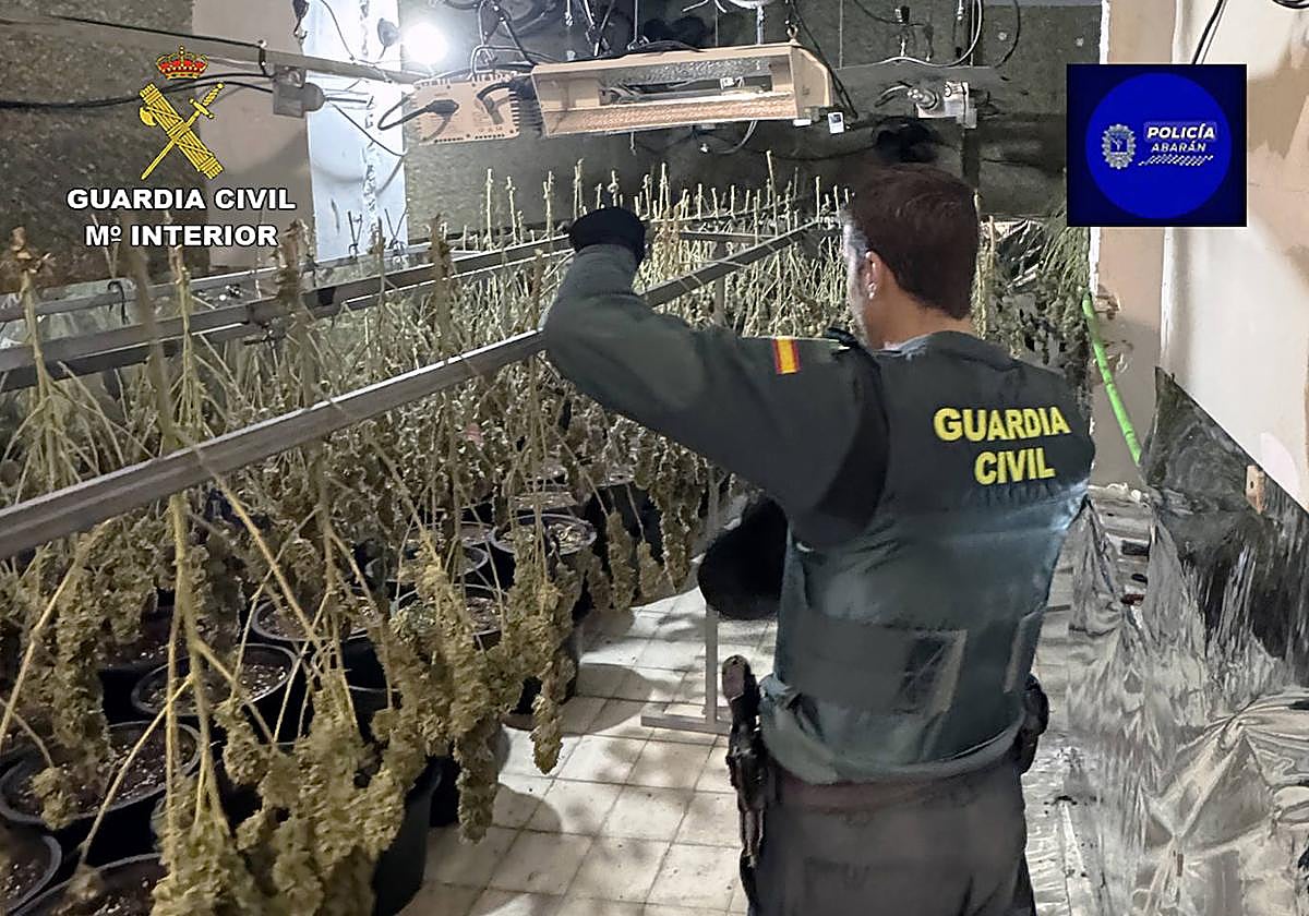 Un agente inspecciona el secadero.