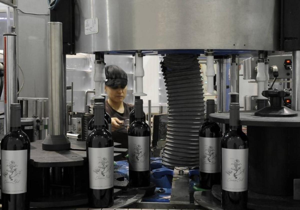 Una trabajadora de Bodegas Juan Gil, en Jumilla, durante uno de los procesos de embotellado del vino.