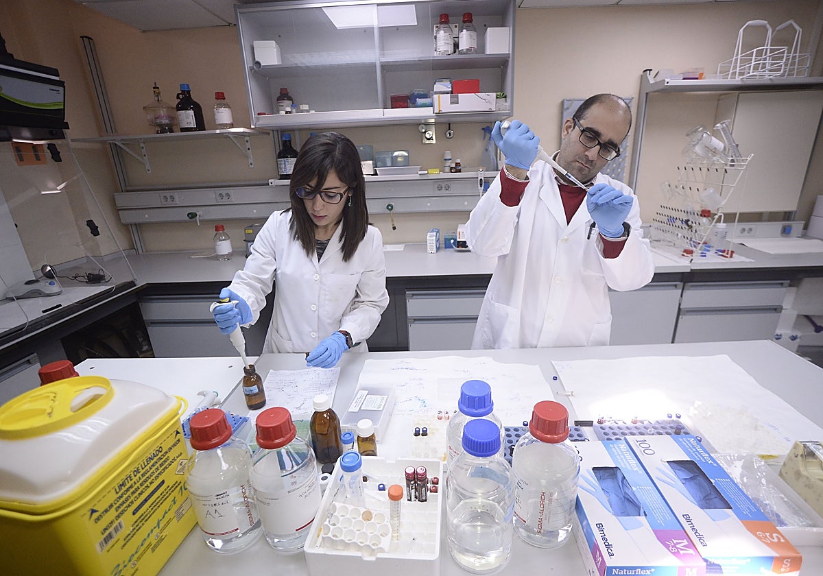 Dos investigadores trabajan en los laboratorios del CEBAS.