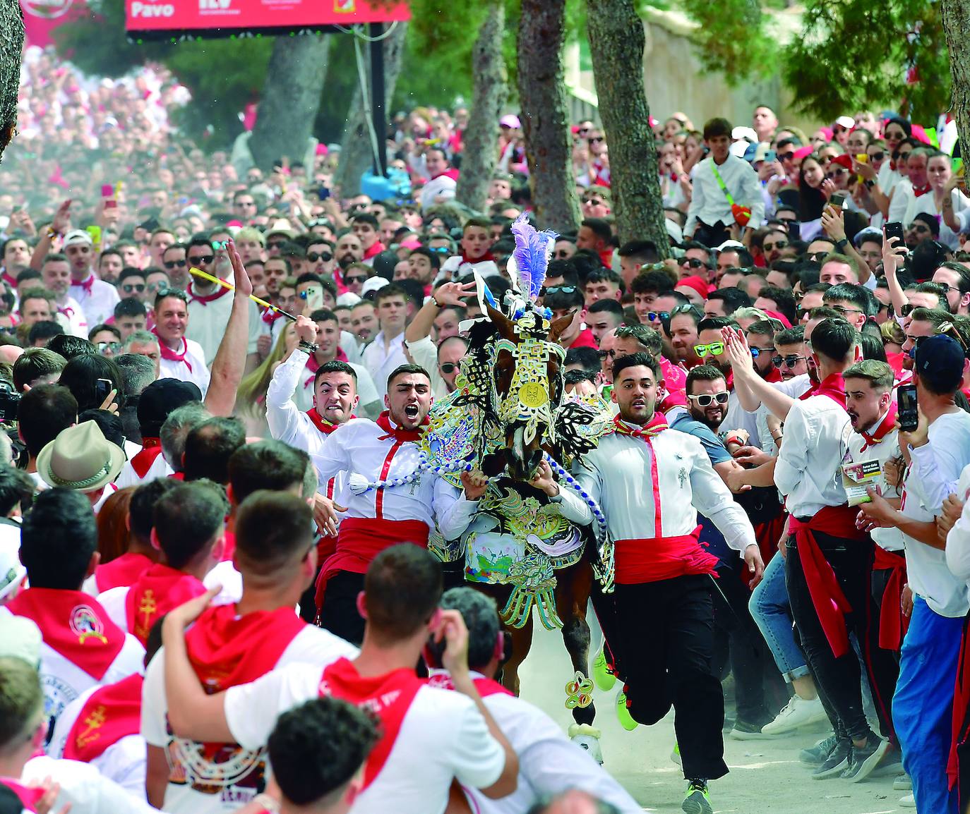 Una de las carreras de los Caballos del Vino, colofón de las fiestas de Caravaca.