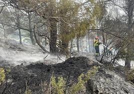 Un bombero trabajando en la zona afectada por el fuego.