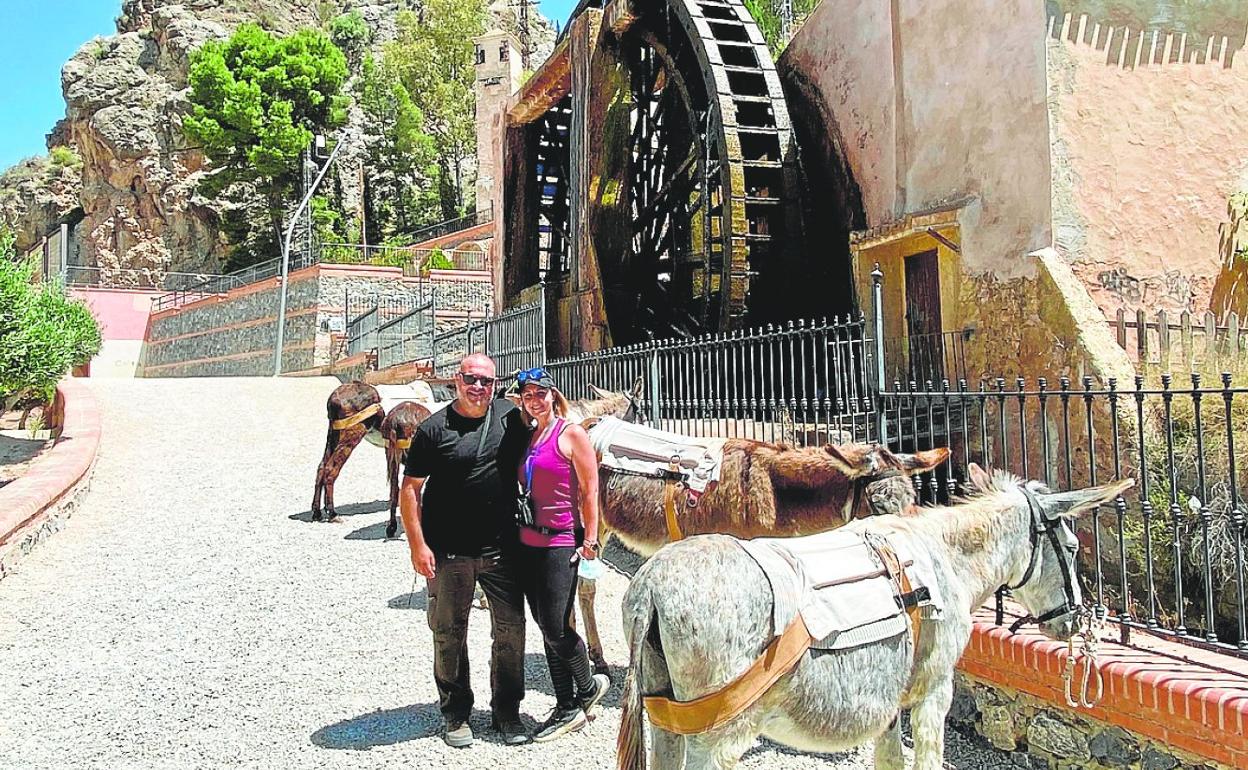 Emilio Pascual y María José Redondo, con varios burros ante la Noria Grande de Abarán. 