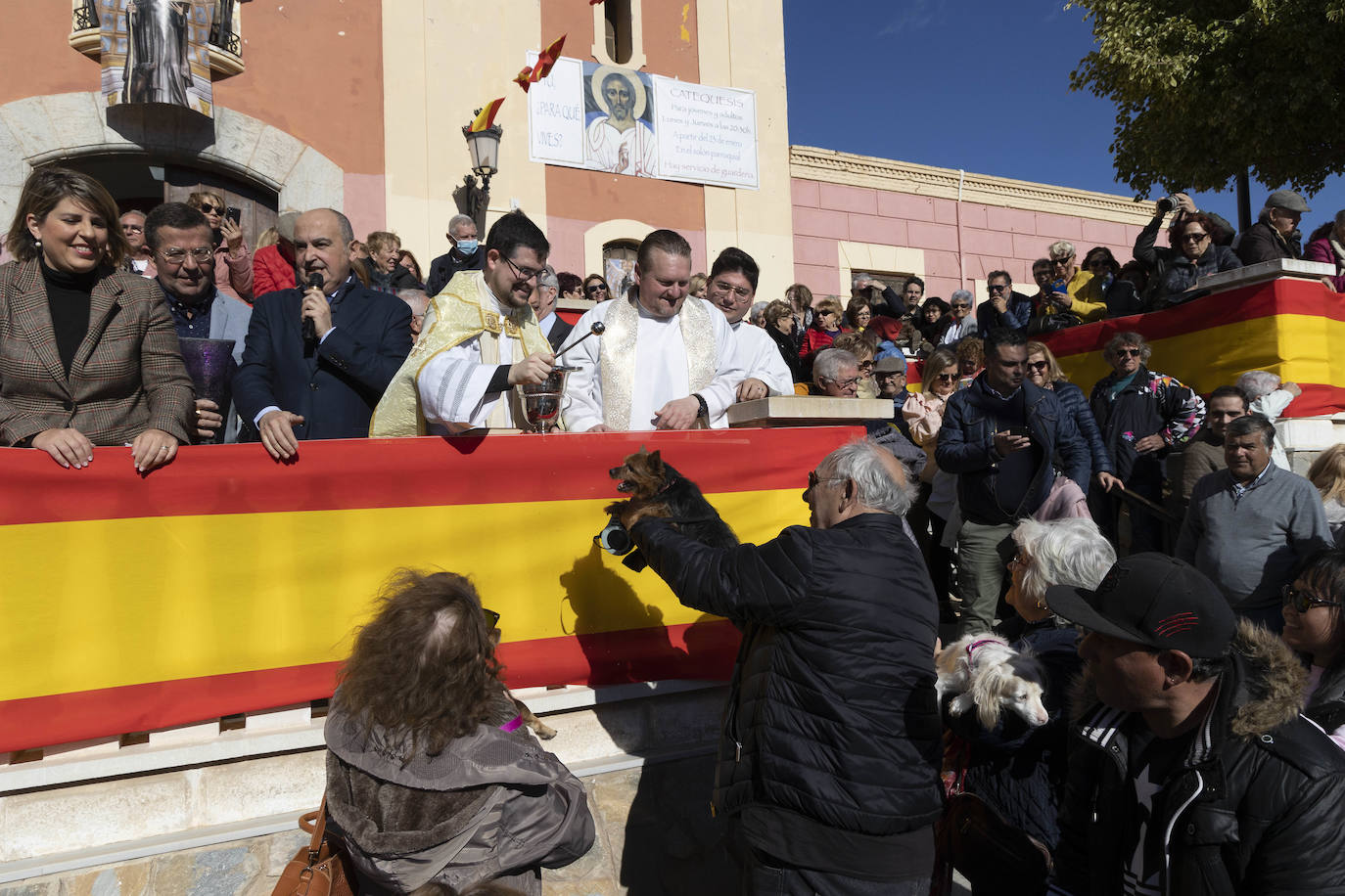 Fotos: Bendición de animales en Cartagena
