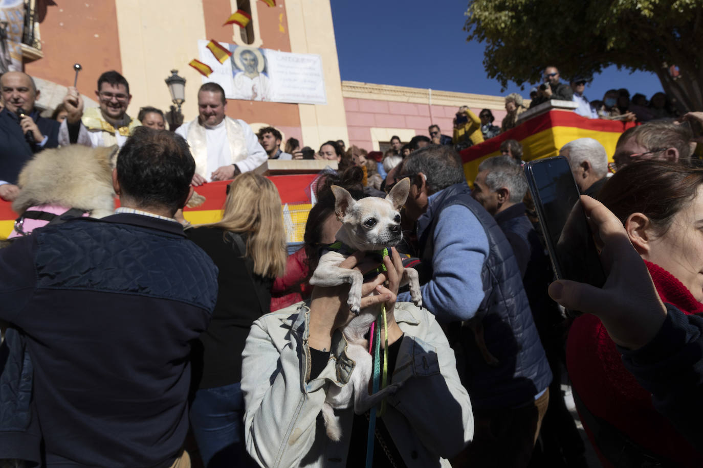 Fotos: Bendición de animales en Cartagena