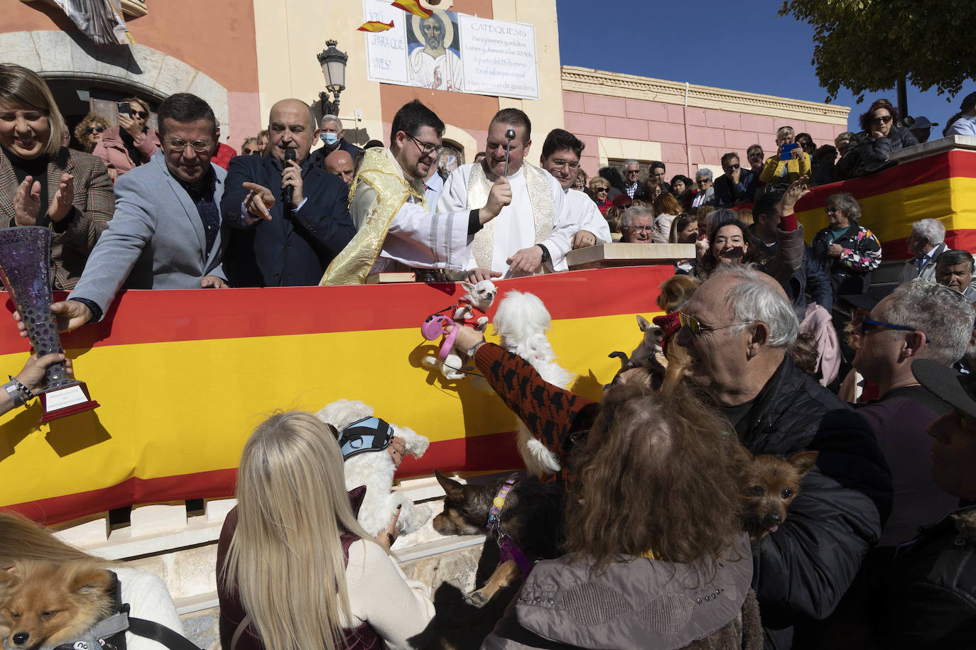 Fotos: Bendición de animales en Cartagena