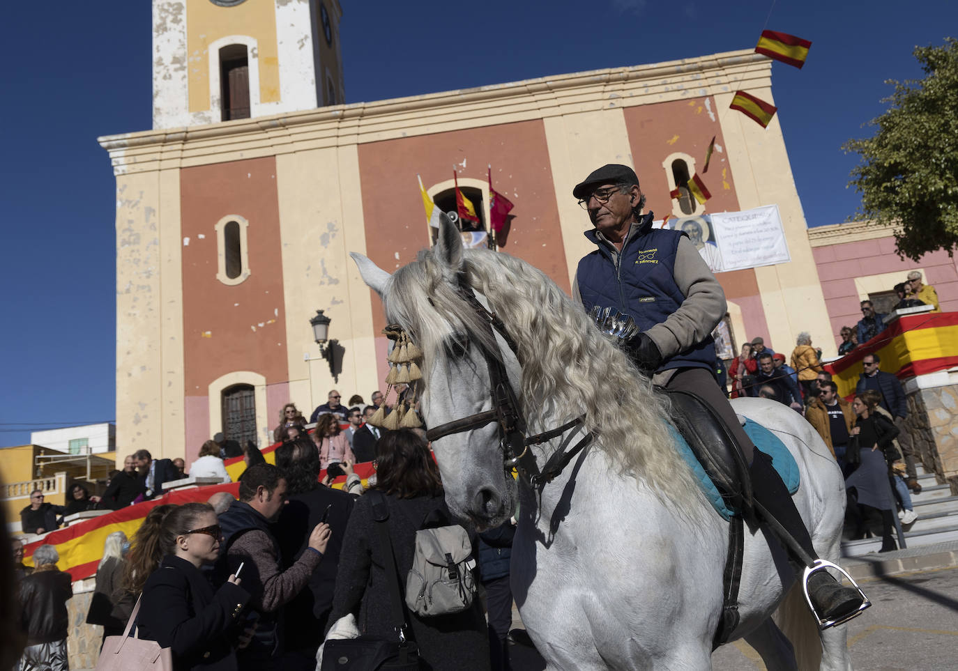 Fotos: Bendición de animales en Cartagena