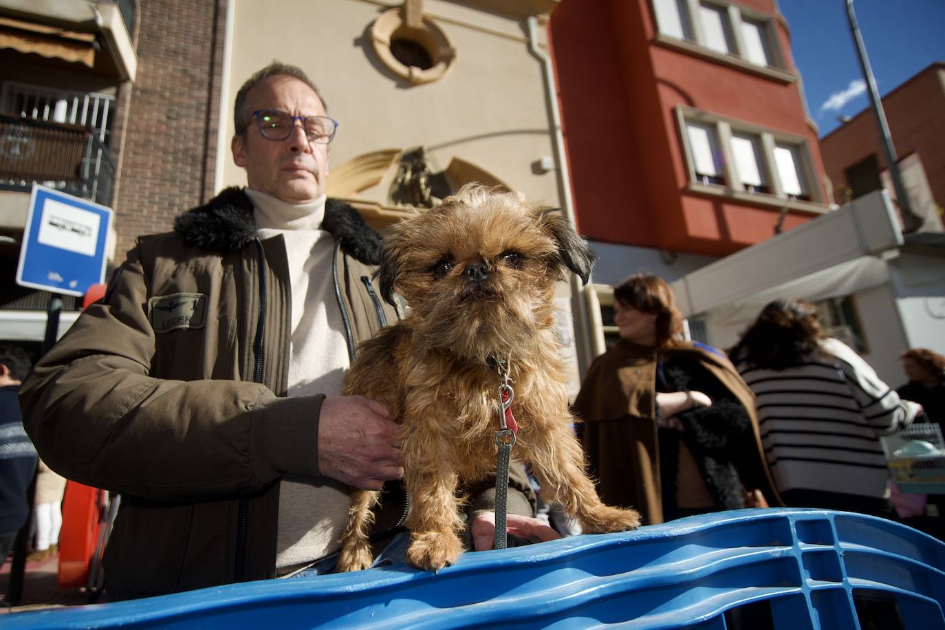 Fotos: Bendición de animales por San Antón en Murcia, en imágenes