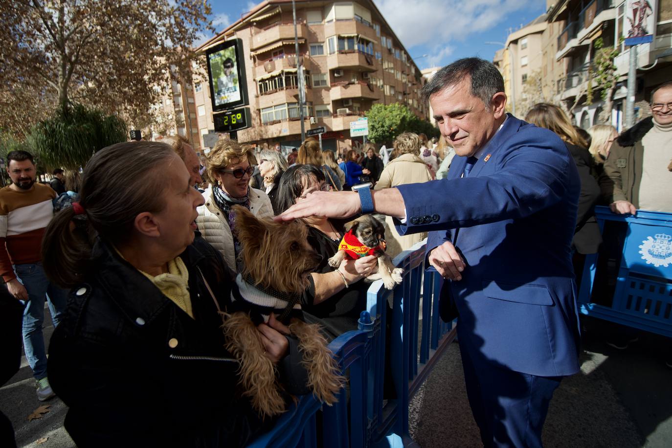 Fotos: Bendición de animales por San Antón en Murcia, en imágenes