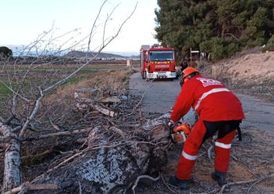 Imagen secundaria 1 - Los bomberos retiran restos de árboles en Jumilla (izq.) y Caravaca (der.)