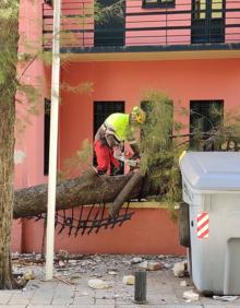 Imagen secundaria 2 - Un árbol derribado por el viento en la calle Puerta Nueva de Murcia.