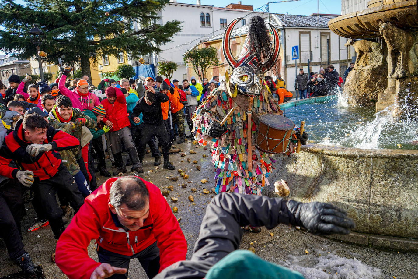 Fotos: 30 toneladas de nabos contra el Jarramplas