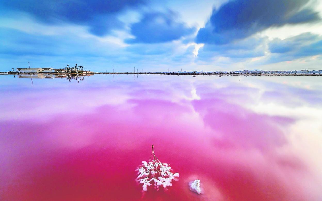 Vista panorámica de las Salinas de San Pedro del Pinatar. 