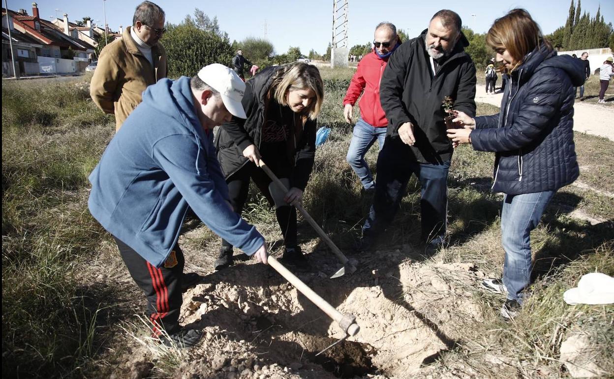 Vecino de La Vaguada plantan 200 árboles en la avenida del Descubrimiento.