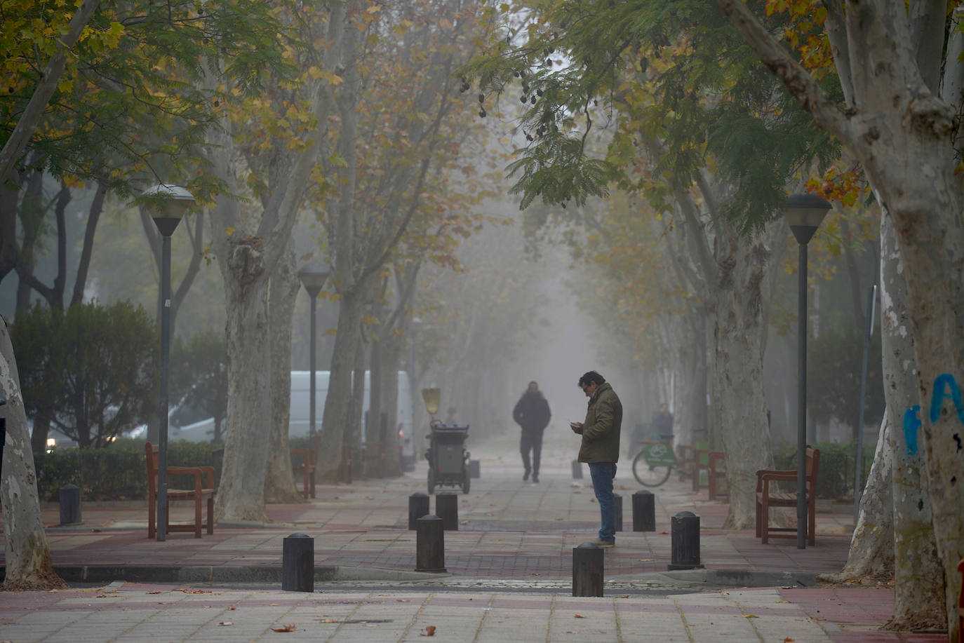 Fotos: La niebla cubre la Región, en imágenes