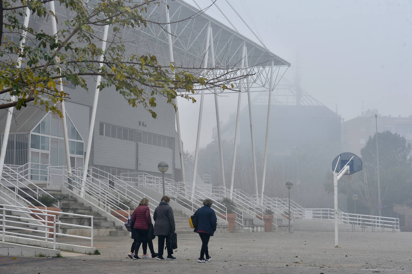 Fotos: La niebla cubre la Región, en imágenes