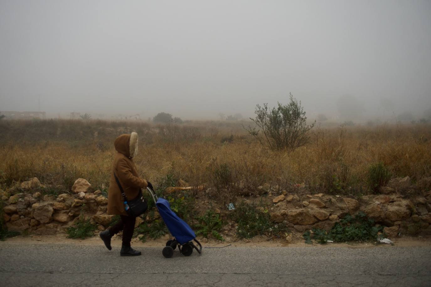 Fotos: La niebla cubre la Región, en imágenes