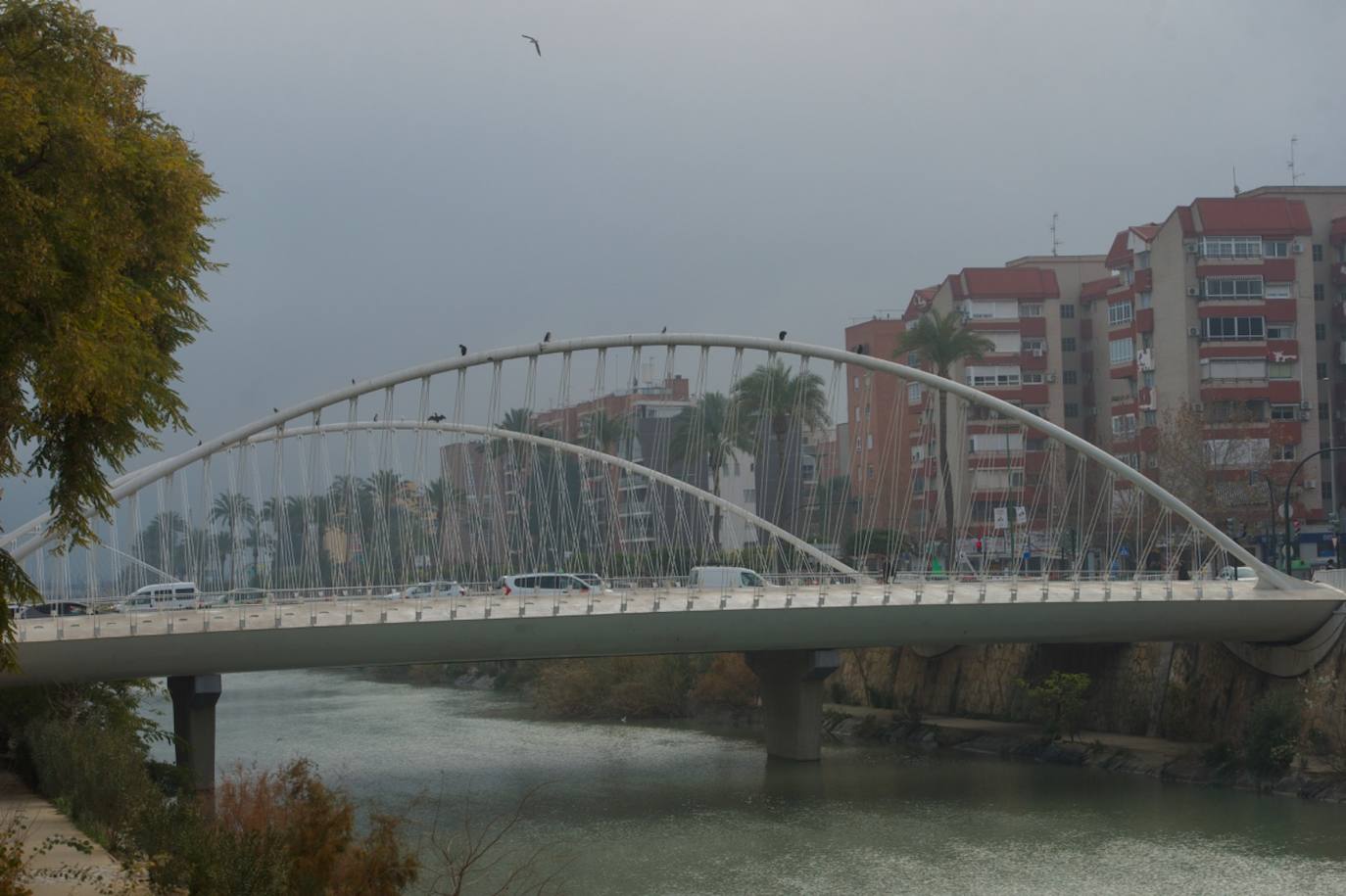 Fotos: La niebla cubre la Región, en imágenes