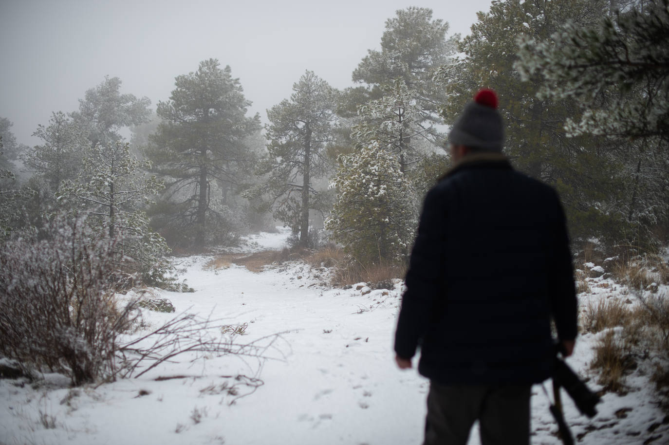 Fotos: La nieve en las pedanías altas de Caravaca y Moratalla, en imágenes