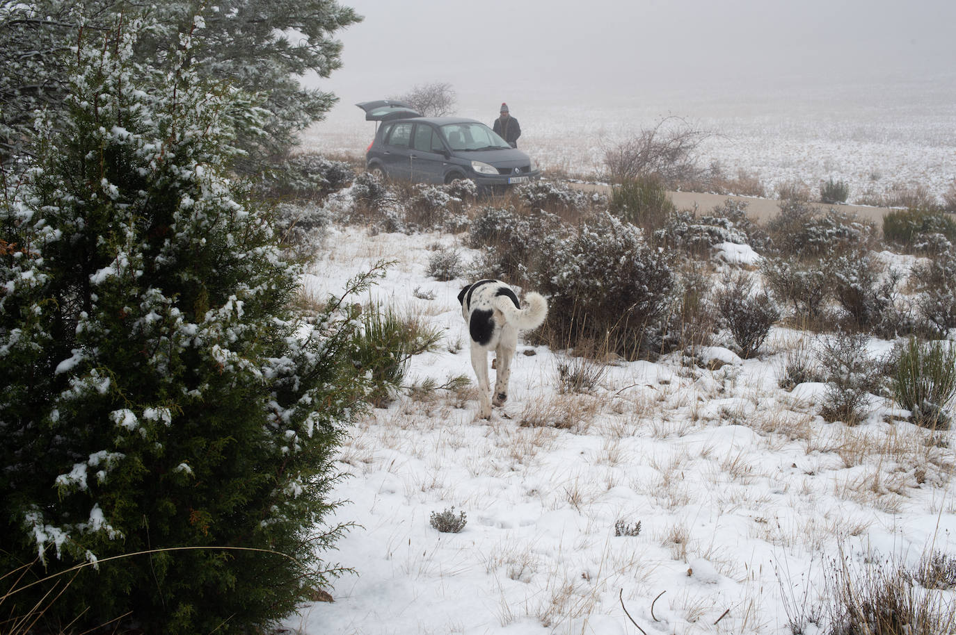 Fotos: La nieve en las pedanías altas de Caravaca y Moratalla, en imágenes