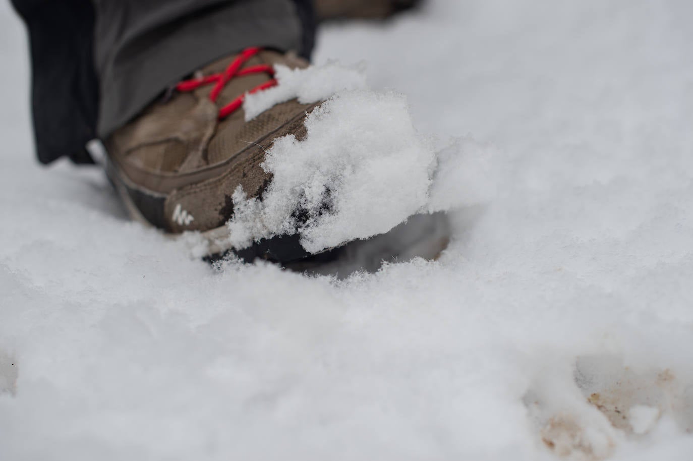 Fotos: La nieve en las pedanías altas de Caravaca y Moratalla, en imágenes