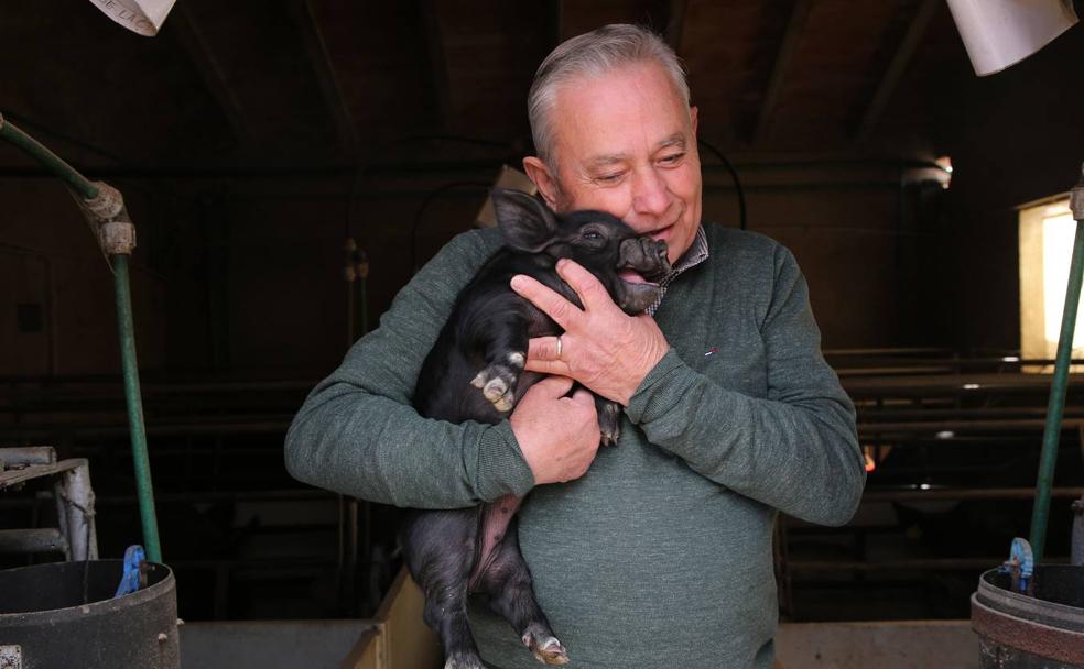 José Reverte abraza uno de los lechones de chato murciano que crecen en su granja de Campillo, en Lorca. 