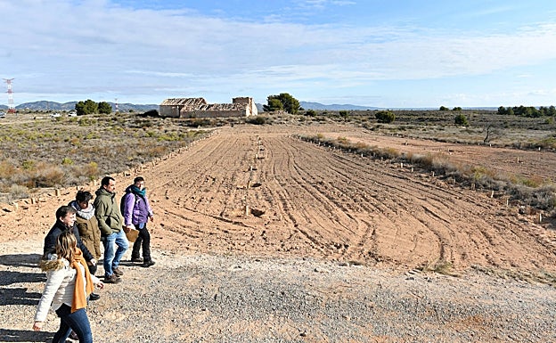 Los técnicos de Columbares y Juan Antonio Abadía pasan junto a los bancales sembrados. 