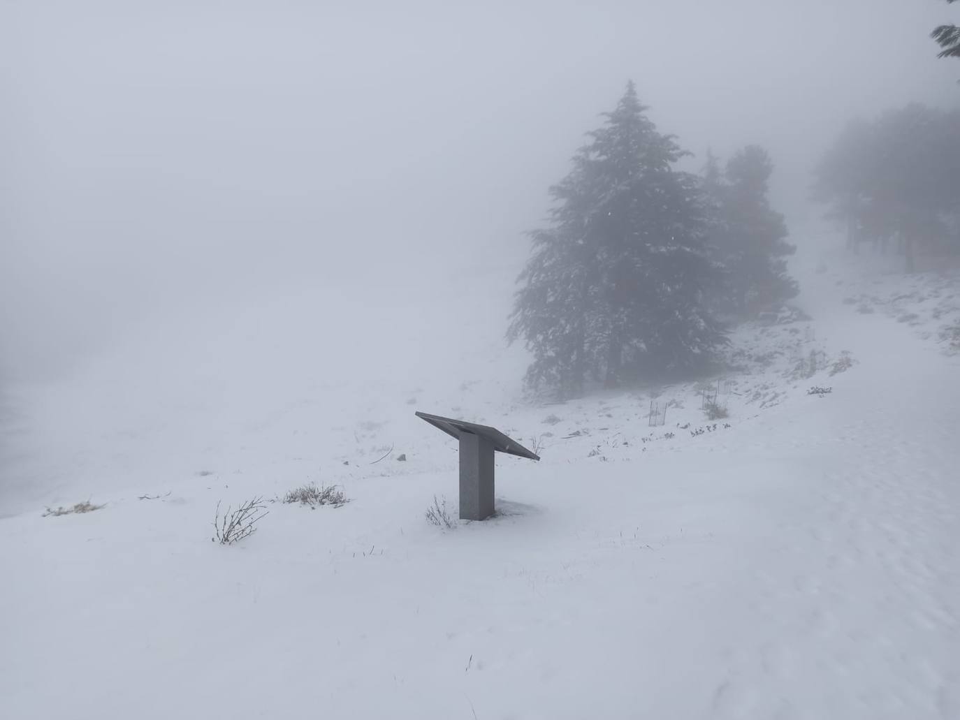 Fotos: Las cumbres de Sierra Espuña se tiñen de blanco por la nieve