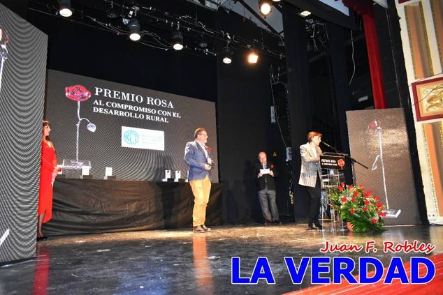 El teatro Thuillier acogió en la noche del pasado viernes el acto de entrega de la tercera edición de los Premios Rosa al Compromiso Social, organizado por el PSOE y Juventudes Socialistas. Los reconocimientos fueron entregados a Francisco Marín, presidente del gremio de editores de la Región de Murcia; a Juan Pedro Martínez, presidente de la cooperativa Frutas Caravaca; y a Francisca Baraza, presidenta de la Mancomunidad de los Canales del Taibilla.