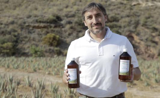 Javier Tormo, en su plantación de aloe vera en Chuecos.