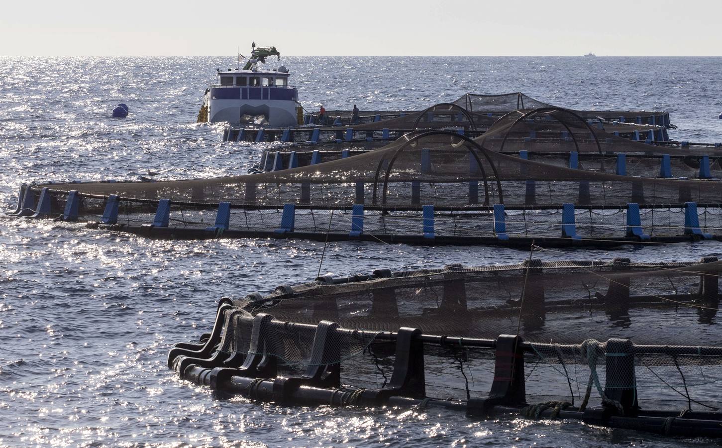 Piscifactoría de San Pedro en una imagen de archivo. 