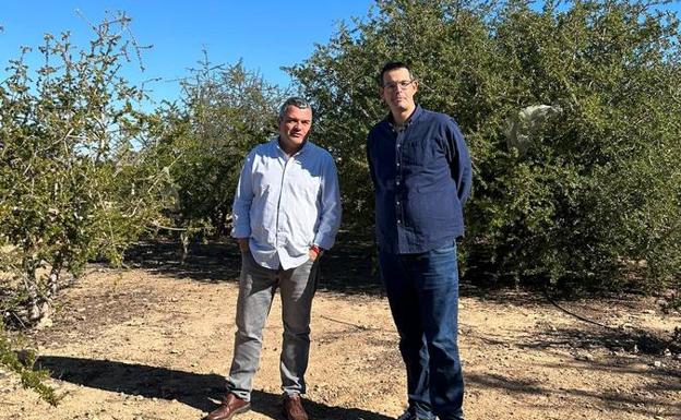  Los investigadores principales del proyecto, Felipe Bastida y Pedro Martínez. 