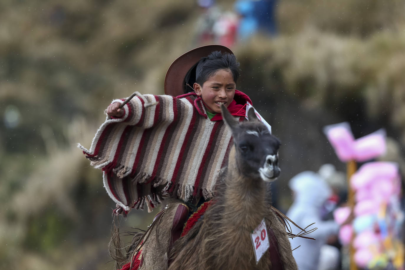 Fotos: Pequeños jinetes para las llamas de los Andes