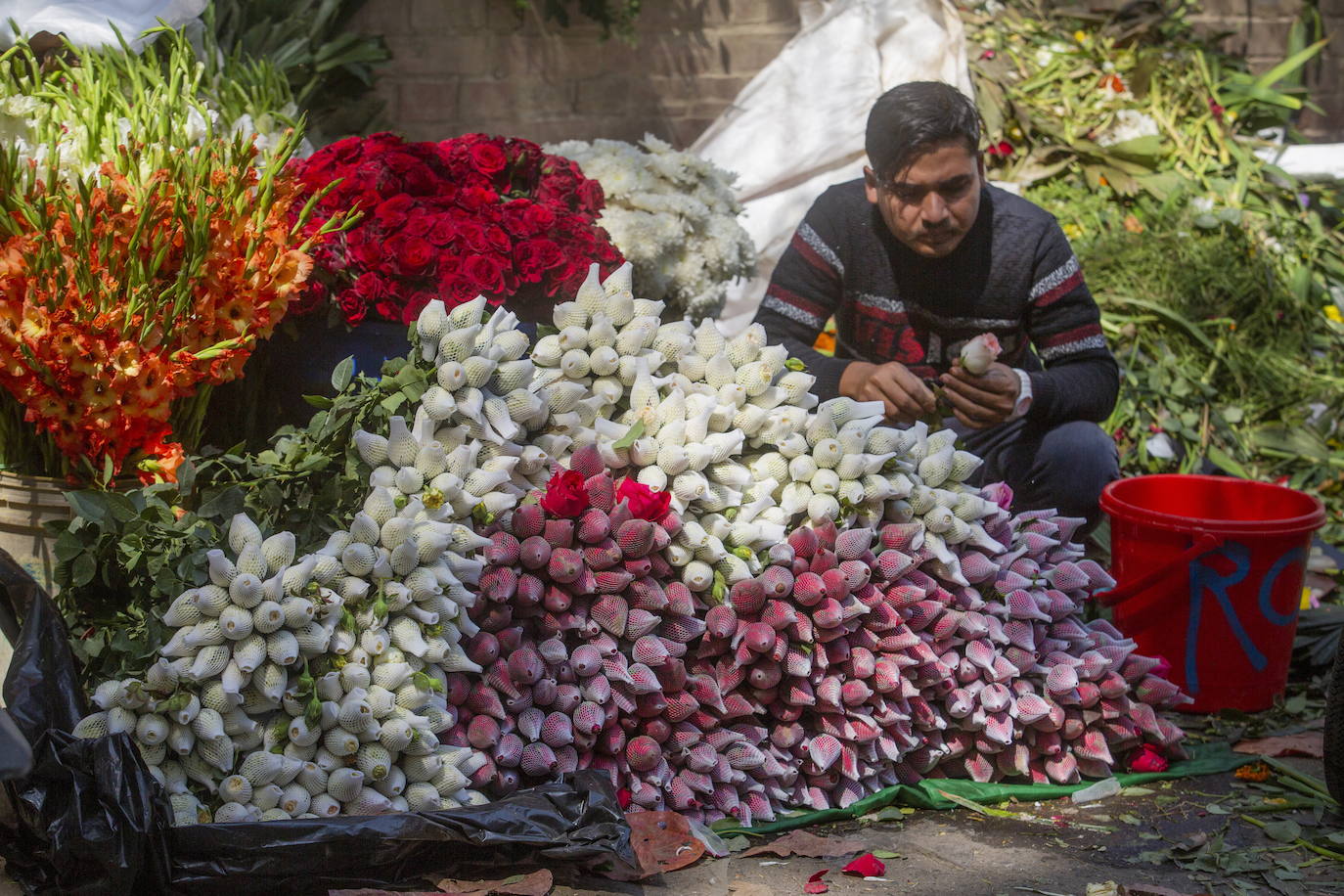 Fotos: Primavera, flores y amor