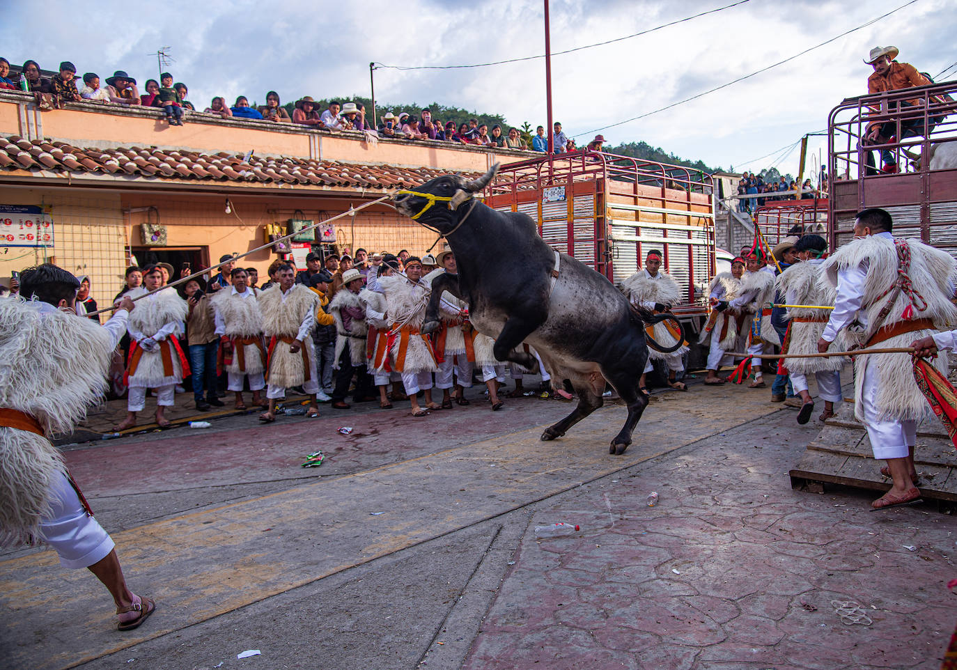 Fotos: Jugando con toros
