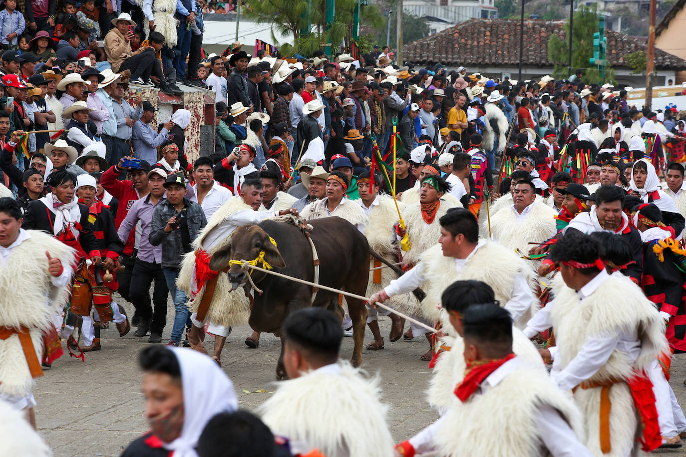Fotos: Jugando con toros