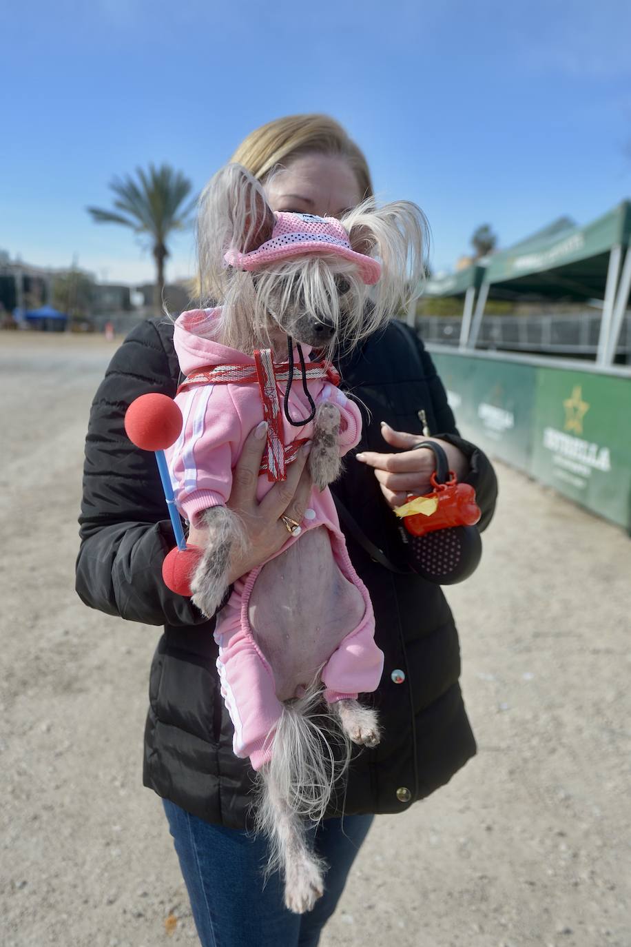 Fotos: El concurso de disfraces de mascotas del Carnaval de Cabezo de Torres, en imágenes