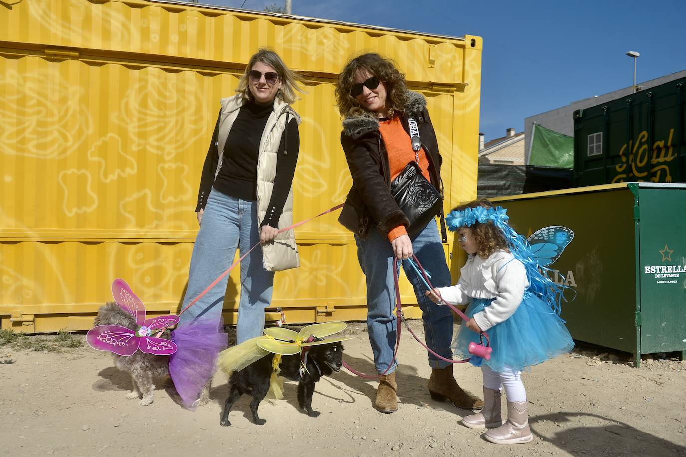 Fotos: El concurso de disfraces de mascotas del Carnaval de Cabezo de Torres, en imágenes