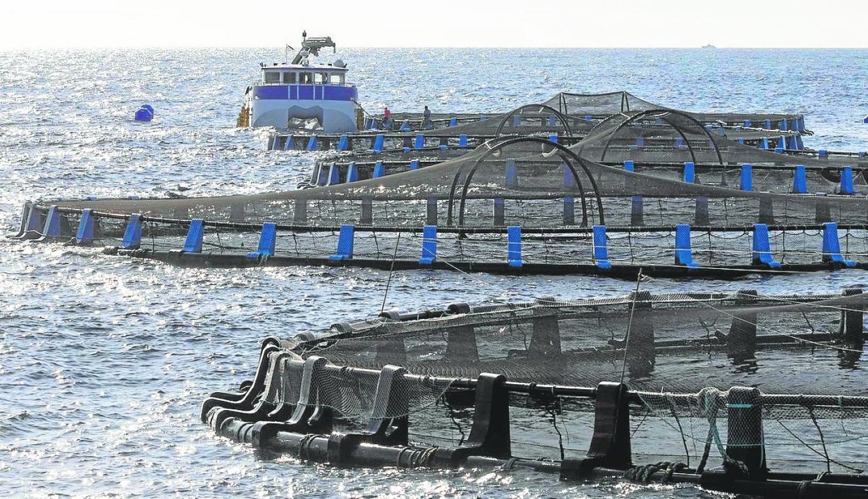 Piscifactoría de San Pedro en una imagen de archivo. 