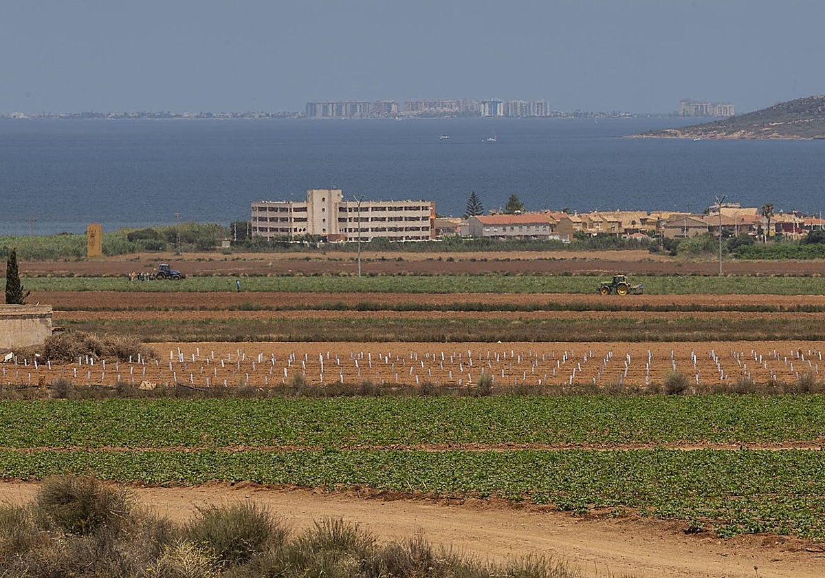 Cultivos agrícolas en el entorno del Mar Menor.