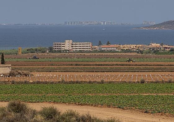 Cultivos agrícolas en el entorno del Mar Menor.