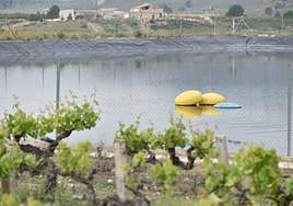 Una balsa para riego ubicada en el municipio de Jumilla.